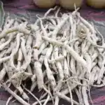Racines d’ashwagandha séchées