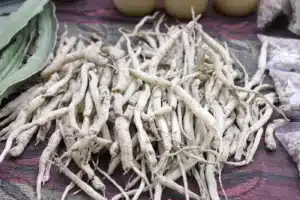 Racines d’ashwagandha séchées
