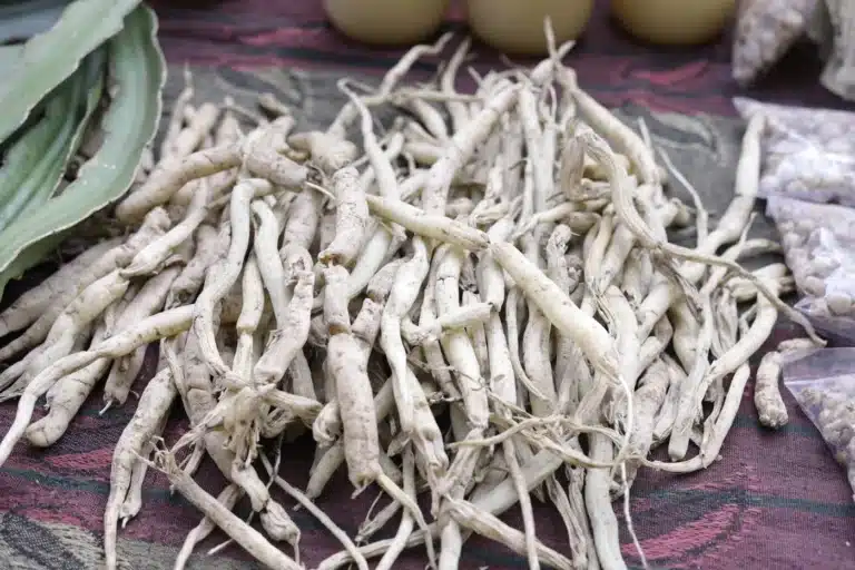 Ashwagandha : bienfaits, dangers et dosage (et pourquoi ce n&rsquo;est pas qu&rsquo;une plante pour dormir)