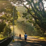 Coureurs sur une route bordée d'arbres dans la lumière du matin, article sur la reprise du running après le Ramadan au Maroc