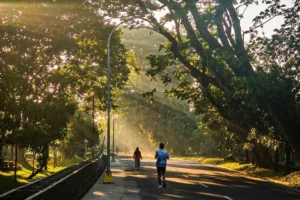 Coureurs sur une route bordée d'arbres dans la lumière du matin, article sur la reprise du running après le Ramadan au Maroc