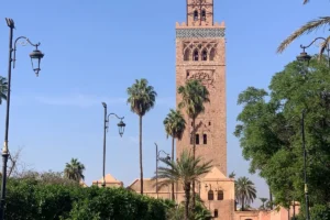 صومعة الكتبية في مراكش بين النخيل تحت سماء زرقاء، مقال تغذية التحضير لماراثون مراكش