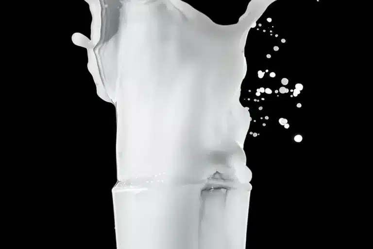 الواي في المغرب: الاختيار والجرعة والبروتين مع نقص السعرات