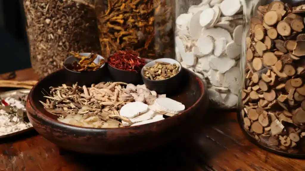 Ginseng au Maroc : espèces, fatigue et précautions