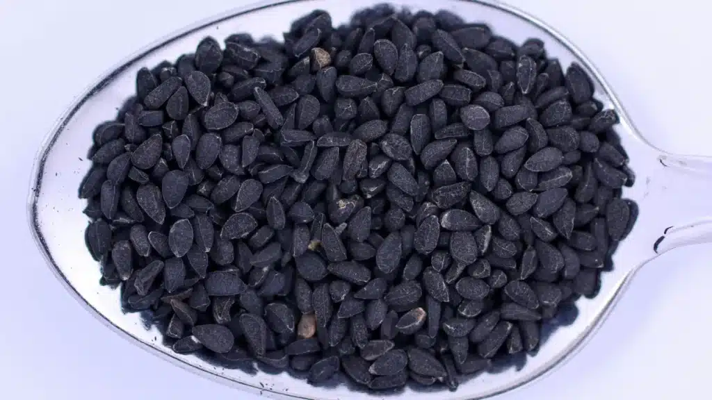 Nigelle au Maroc : habba sawda, preuves et précautions