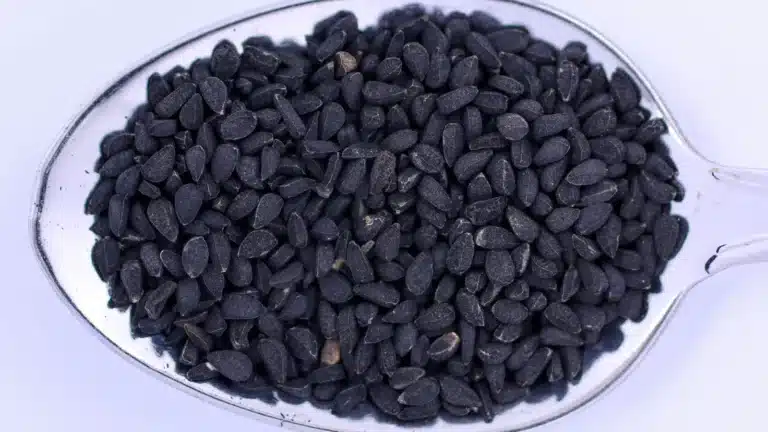 Nigelle au Maroc : habba sawda, preuves et précautions