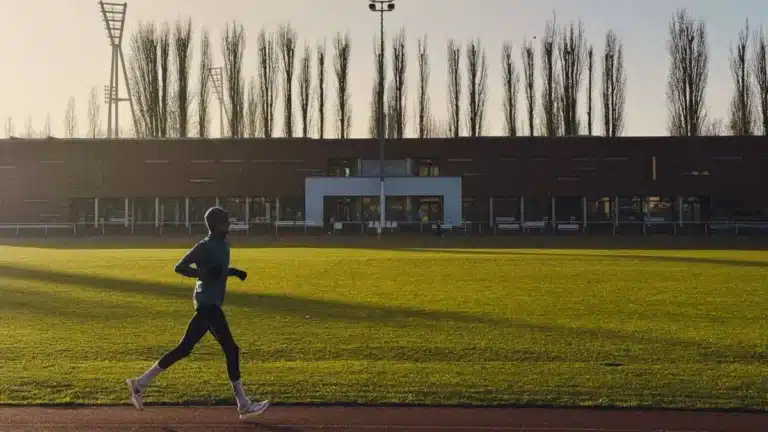 Vitamine D et sport : force, récupération, ce que les essais montrent vraiment